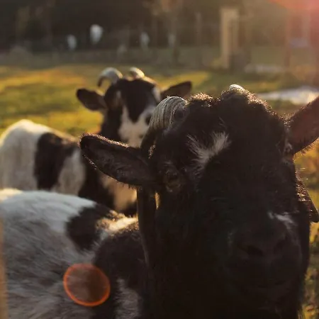 Σπίτι διακοπών Senguinous 1