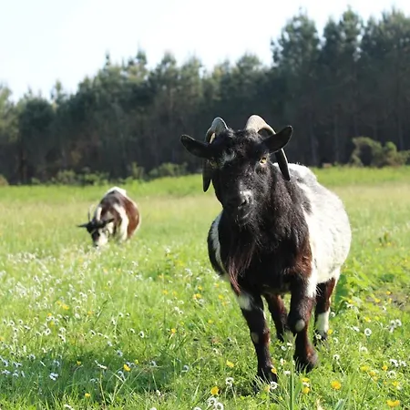 Σπίτι διακοπών Senguinous 1